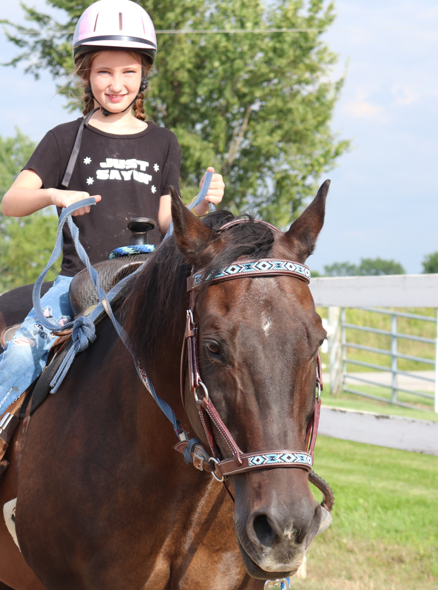 niagara horses