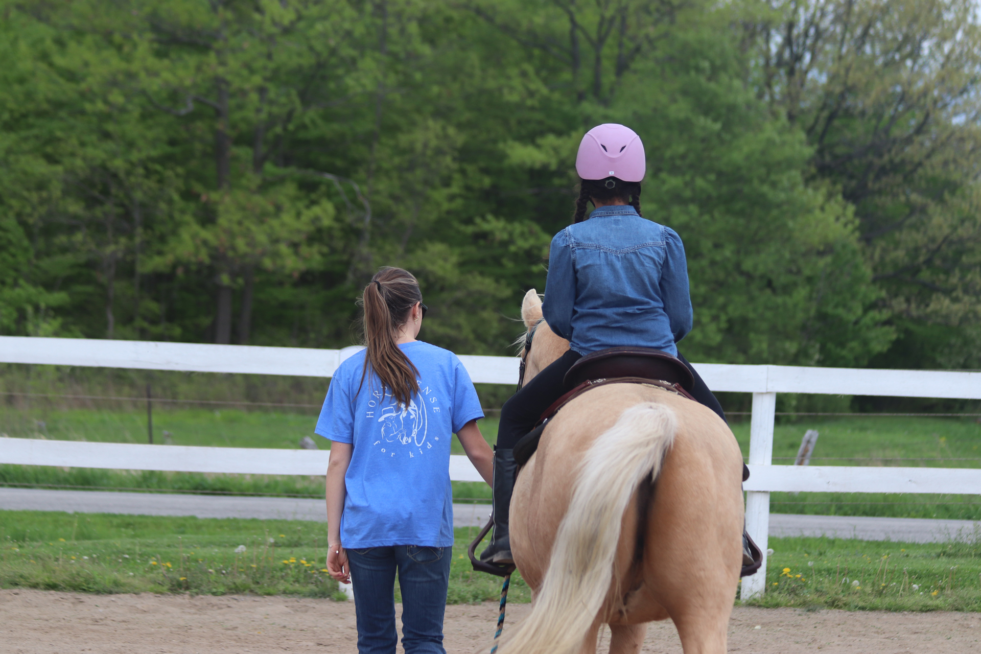 Horsemanship Programs