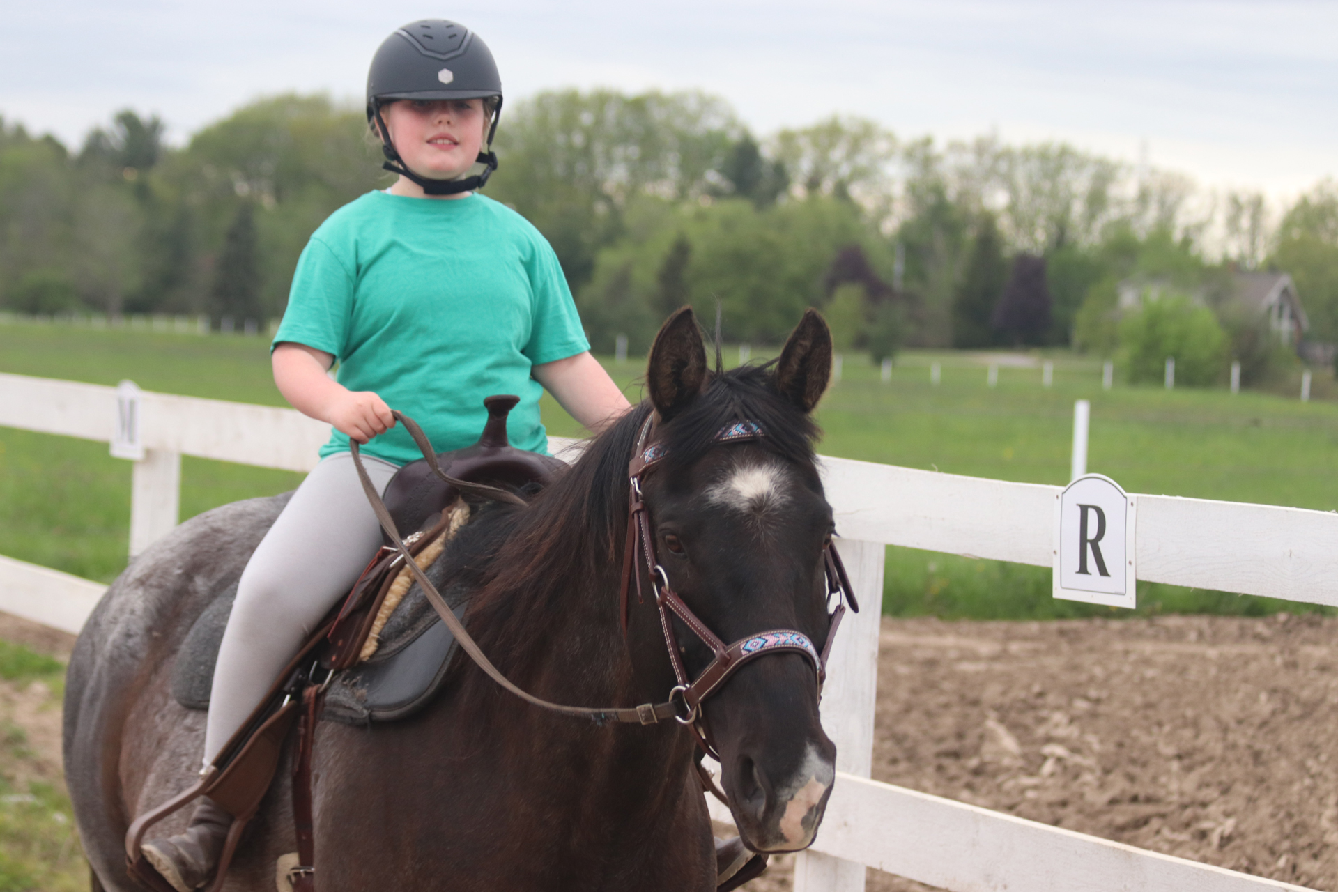 Horsemanship Programs