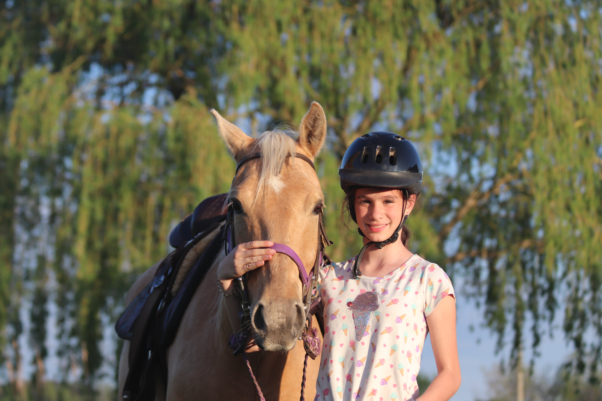 Horsemanship Programs
