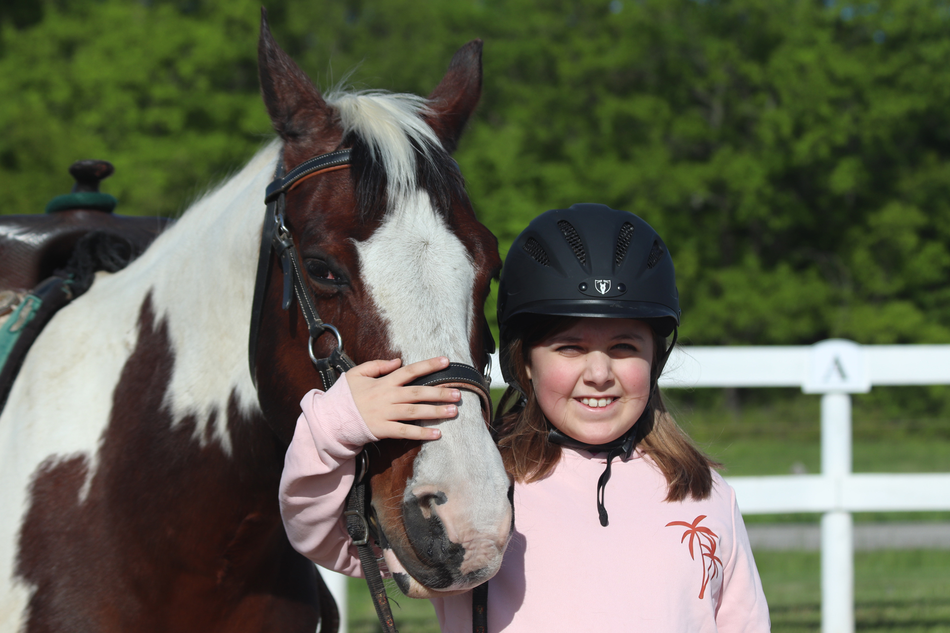 Horsemanship Programs