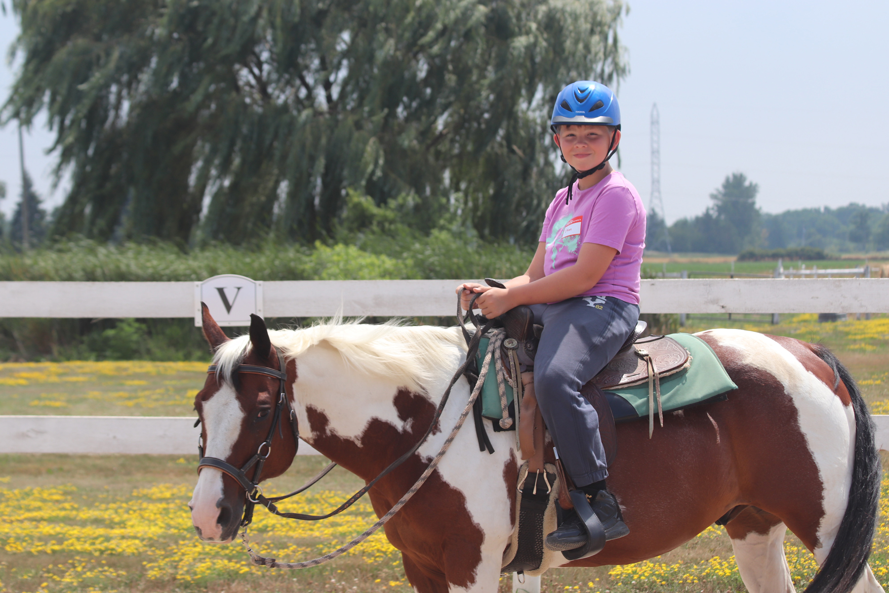 Horsemanship Programs