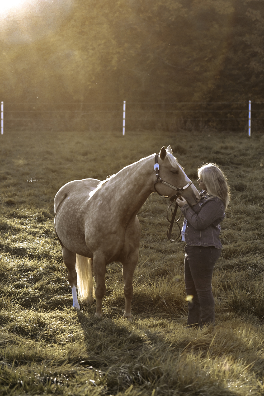Horsemanship Programs